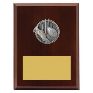 PEAK PLAQUE AUSSIE RULES  PEAK PLAQUE AUSSIE RULES