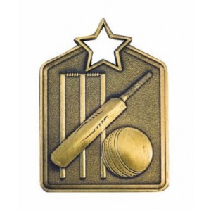 GALAXY MEDAL - CRICKET GALAXY MEDAL - CRICKET